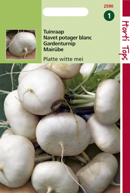 Gardenturnip Early Flat White (Brassica rapa) 4000 seeds